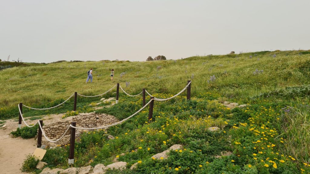 he crusader residential cisterns - Apollonia