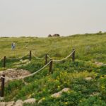 he crusader residential cisterns - Apollonia