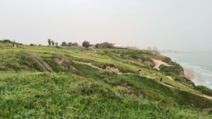 Looking South (you can see Arena Hertzlia on the shore to the right) - Apollonia