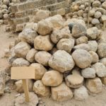 The Burnt room and the stone catapults thrown over by the Mamluk forces. There some 1,500 stones, the highest concentration found! - Apollonia