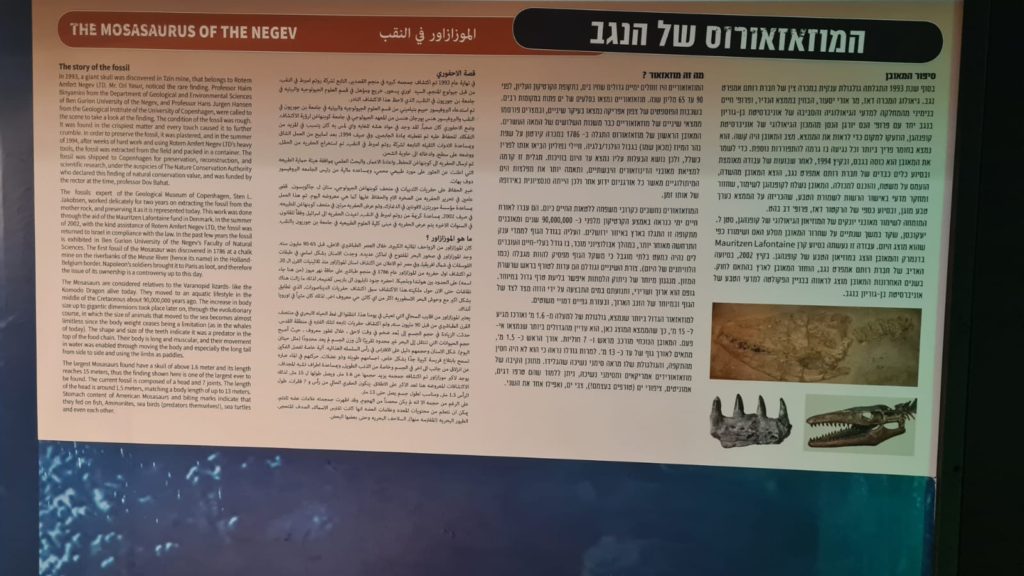 The Mosasaurus of the Negev - Carasso Science