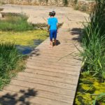 The stream goes under couple of bridges: one I enjoyed looking on it from below , and second Jannaeus crossed over. - En Hemed