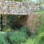 The stream goes under couple of bridges: one I enjoyed looking on it from below , and second Jannaeus crossed over. - En Hemed