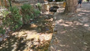 The real stream from En Hemed spring with just a drop of water