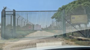 The entrance to the Lions area. Looks like they are serving some time in... 