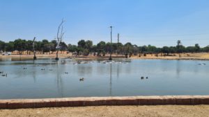 The hippopotamus in the pool, they did not go out (and I must say I understand them)