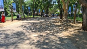 The Zoo part