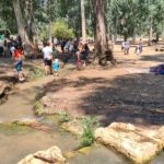 Paddling pools, walking on those for a couple of hundred meters cool us down and allow us to keep going the the rest of the site. Tel Afek