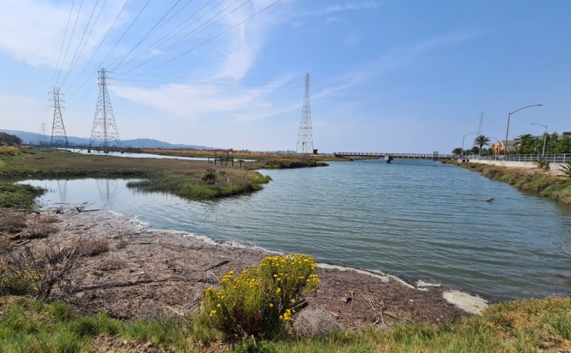 Bair Island