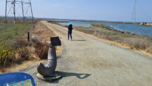 Atzva on the way to the point of view
