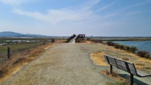 The point of view - Bair Island