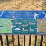 Point of view signs - Bair Island