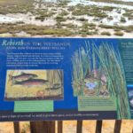 Point of view signs - Bair Island