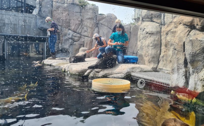 Monterey bay Aquarium