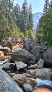 Vernal fall hiddwn between the trees