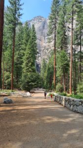 Yosemite waterfalls