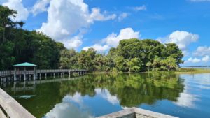 The wooden bridge