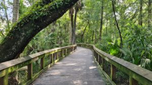 The way to the bathing area
