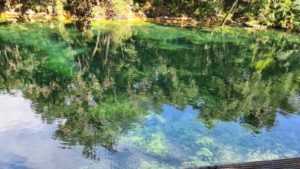 Crystal clear water - Blue Spring