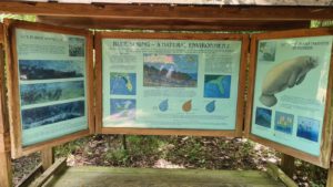 Blue spring - natural environment sign