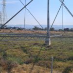 High grid electricity lines with small trusses instead of beams in Bair Island