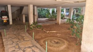 The next door buildimg that houses the composter we use, I use the water to later on clean our composter trash can