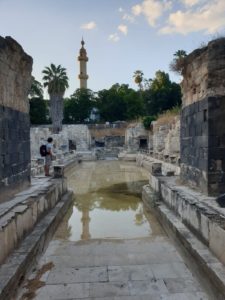 The biggest pool in roman complex