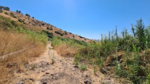 Looking South to the ruins of the Syrian Village.Ein Divsha