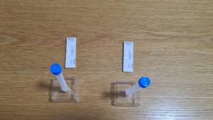 The test tubes and the resukys for Mindal and Jannaeus - no antigens means they can go to kindergarten.