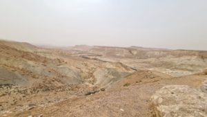 Zin stream wadi, looking east