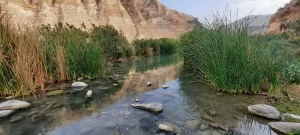 The Ruqqad stream before it flows to the Yarmouk (Source: Walla.co.il, Evyatar Lichtman, Keshet Yonatan)