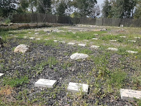 Further to the West is Oketz unit dog cemetary, in Sirkin base. The tombs where taken to Adam and the corpases were probably dug out by the jackels. (Source: onegshabbat.blogspot.com)