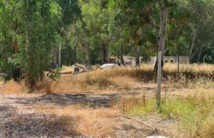 The Bomb disposal unit bombs graveyard in Sirkin vase