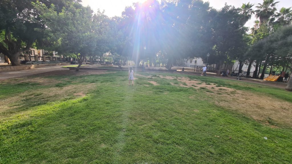 The strolling garden