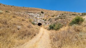 The Mukheiba tunnel