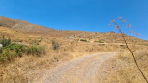 The tunnel is on the white spot - Mukheiba tunnel