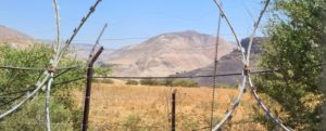 The border triangle behind the fence