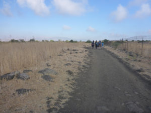 The plateau of Golan Heights - Black Canyon