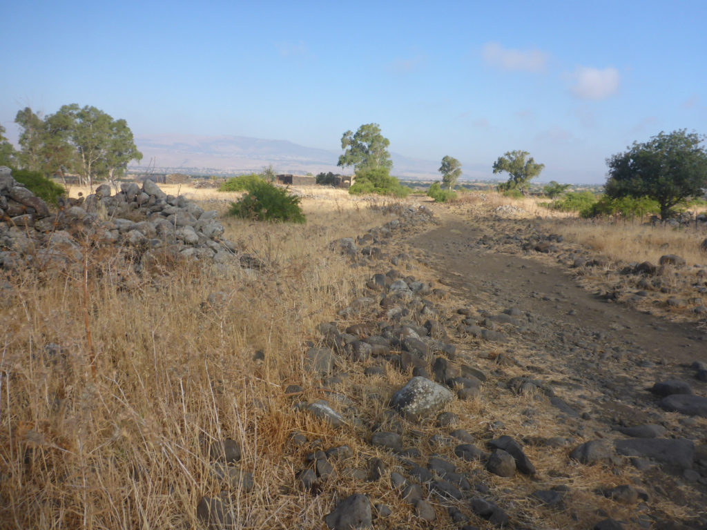 The remains of Seikh Hussein Syrian village