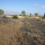 The remains of Seikh Hussein Syrian village