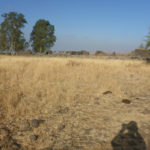 The remains of Seikh Hussein Syrian village