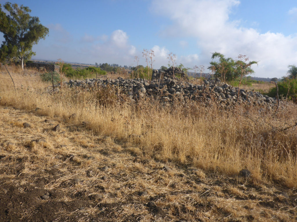 The remains of Seikh Hussein Syrian village