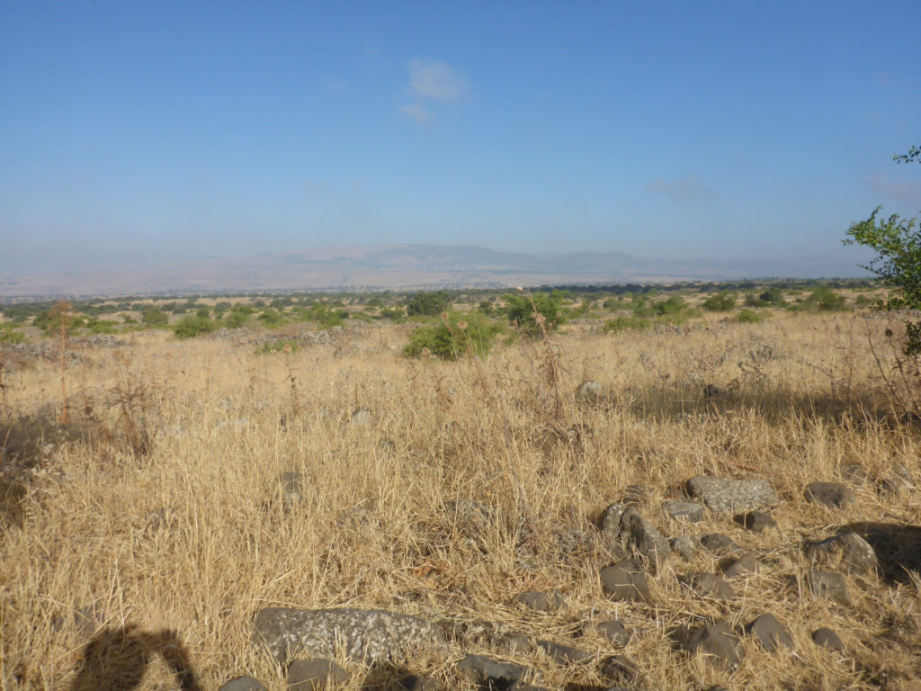 The remains of Seikh Hussein Syrian village