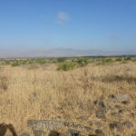 The remains of Seikh Hussein Syrian village