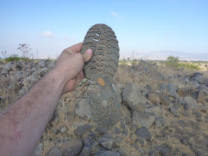 Atzva shoe sole. We where told to bring shoes that can hold the hike but does not even get to the water. Black Canyon