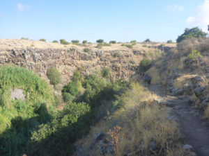 Going down to the trail (the one we climbed we ended the upper paet of Zavitan stream) - Black Canyon