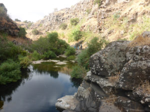 The beautiful view of Zavitan stream - Black Canyon