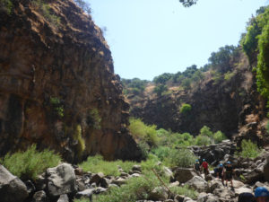 At some point the stream disappears and latter on appears again. The stream flows on layers of clay that was burned after each volcanic eruption (that create a layer of Basalt rock) - Black Canyon