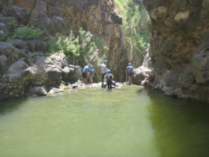 Getting down to the pool and in the cold water after you have been dried is an hard task... - Black Canyon