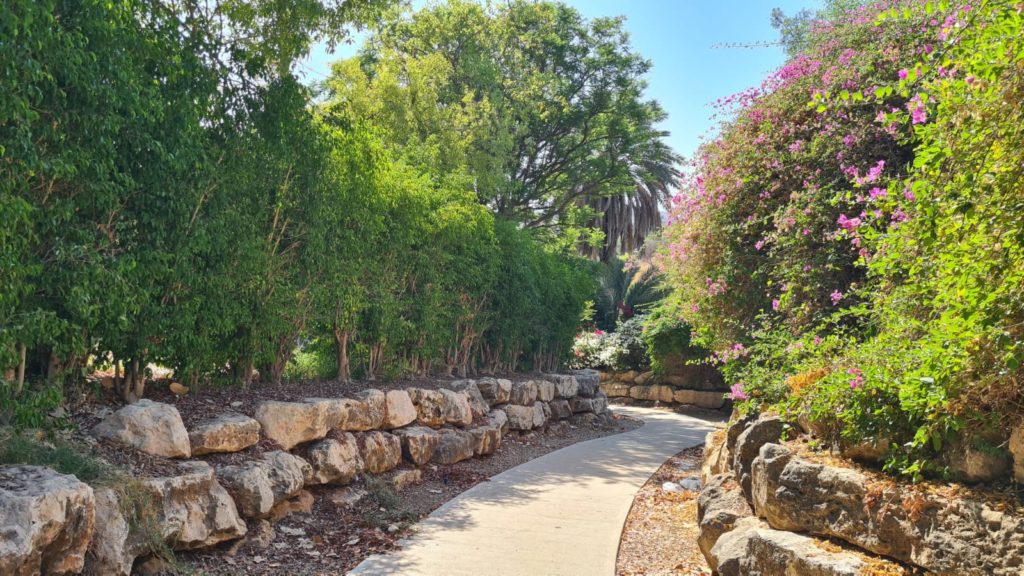 The way to the spring - Harod Spring